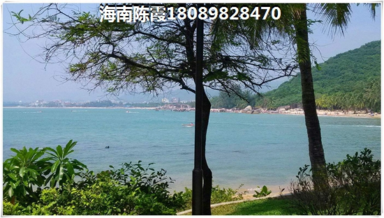 海南天长椰风水韵