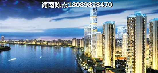 海南天长椰风水韵