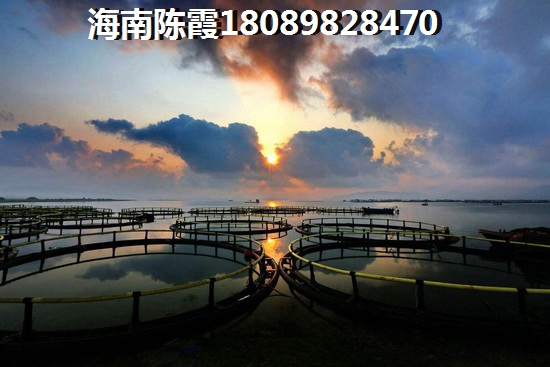 定安春阳江城国际