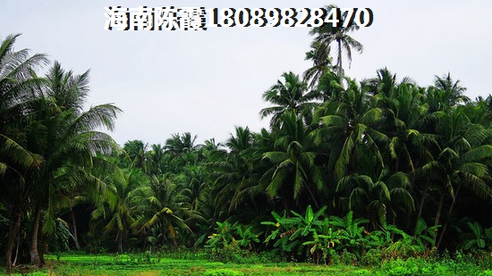 如意·竹苑楼盘配套