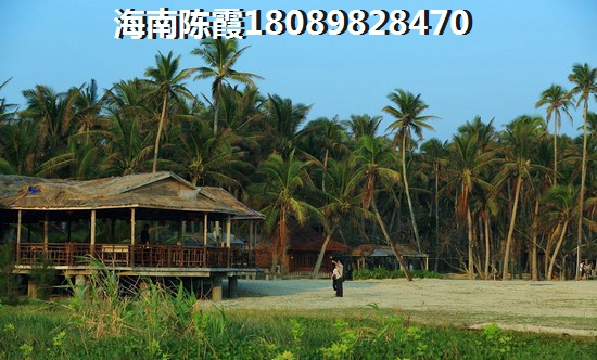 定安有生纸潜力的房产推荐，退休老人可以在海南买房