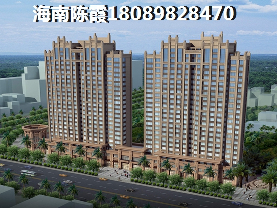 海南哪里的房子生纸潜力大