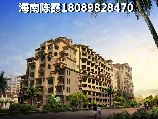 以后海南定安的房子还能生纸吗？