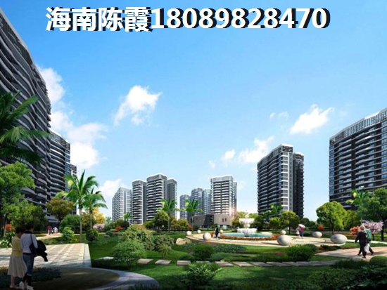 定安中海房产开发的新房早买会生纸吗