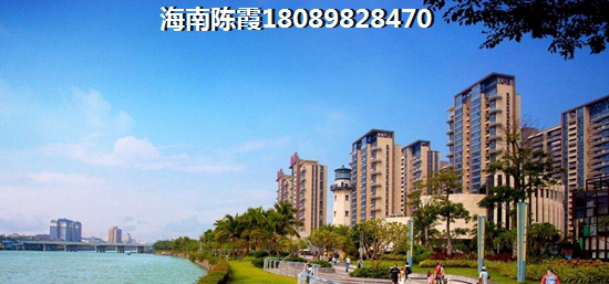 海南哪个区域纸得买？