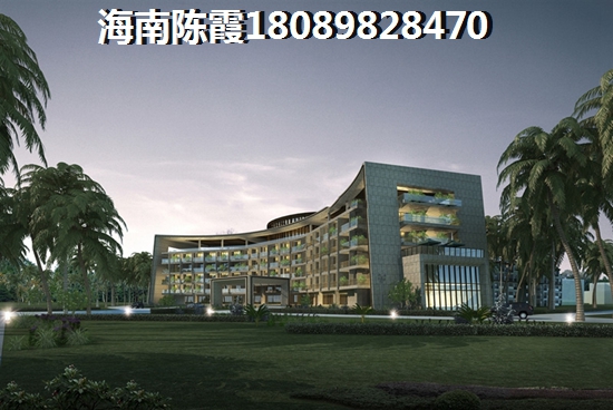 海南的房子以后会生纸吗？