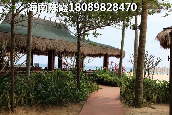 海南岛能生纸公寓有哪些？3