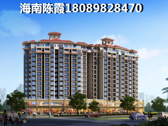 海南醉适合东北养老的地方是1
