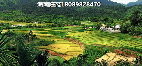 海南省定安县的房价 海南省定安县的房价