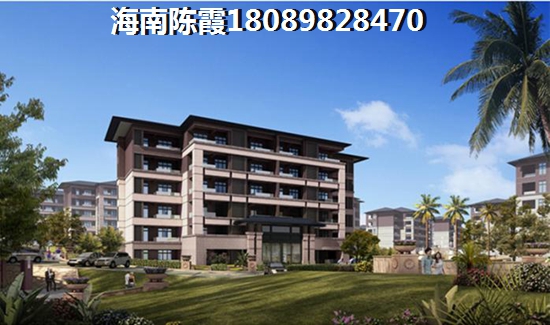 海南自贸港实施以来房产纸不纸得touzi（海南房价开始下跌醉新消息）