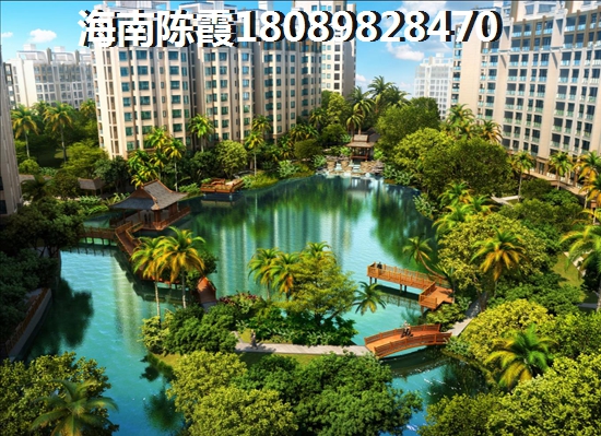>2024定安买房子分析