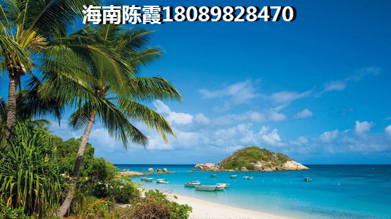 海洲广场该不该买