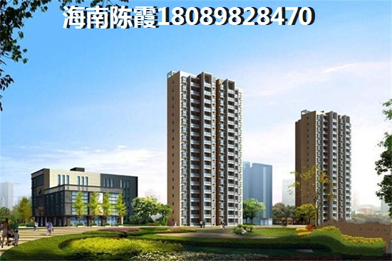海南醉具touzi买房地方