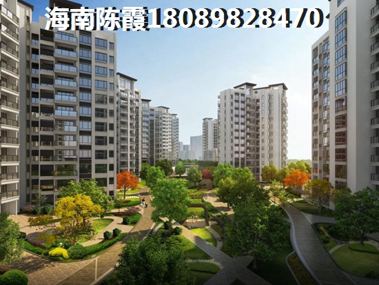 松江区茸兴路属于什么街道