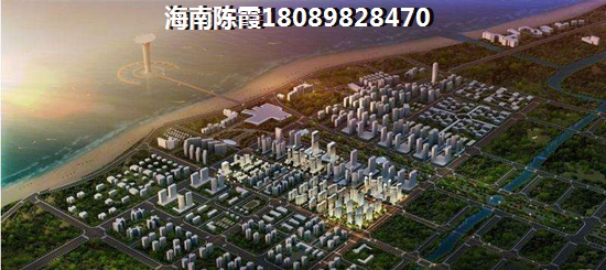 布布跳的是什么