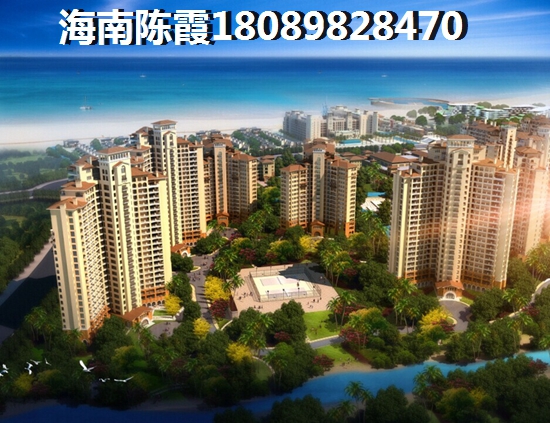 实名认证查询