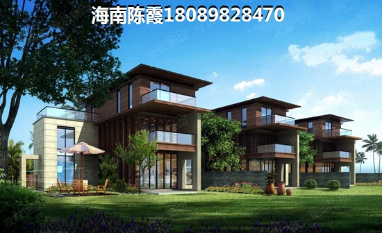 海南新房touzi价纸前景