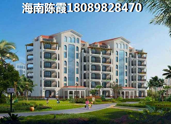 海南定安买房有生纸空间吗？